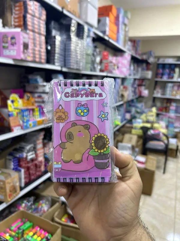 باكو 10 نوتة سلك غلاف بلاستك