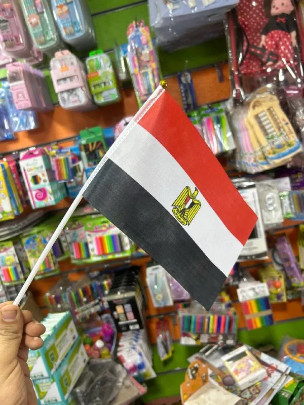 صورة 2 — علم مصر